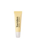 SOLID IN Lip Essence