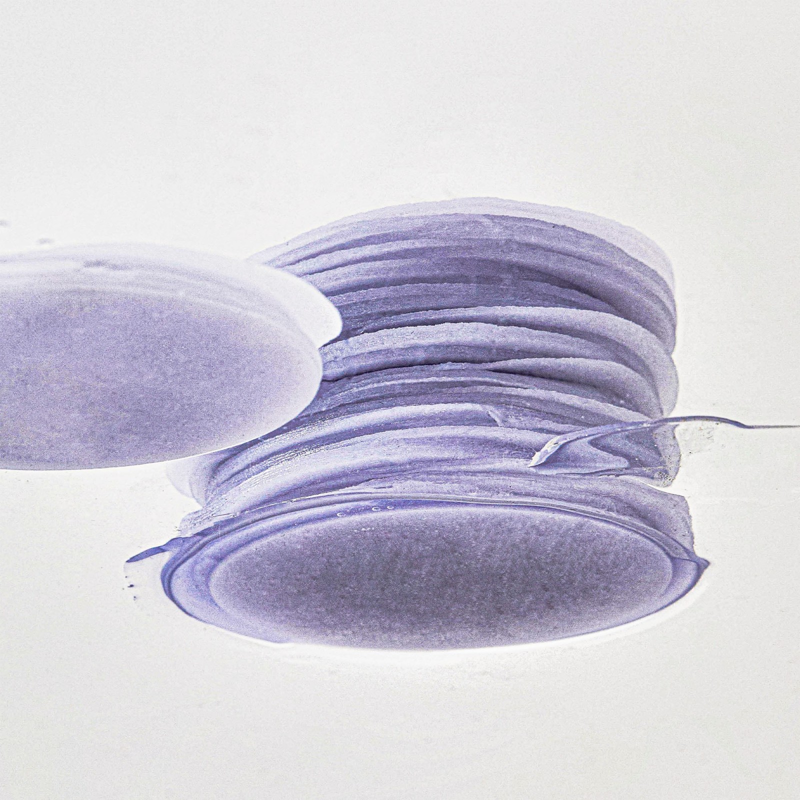 Discos Guava 70 Skin Toner Face Mask · Benton | MiiN Cosmetics