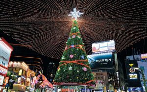 ¿Cómo es pasar la Navidad en Corea? | MiiN Cosmetics